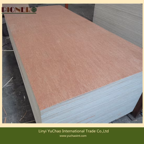 Pannello in compensato Bintangor con anima combinata per il mercato del Medio Oriente