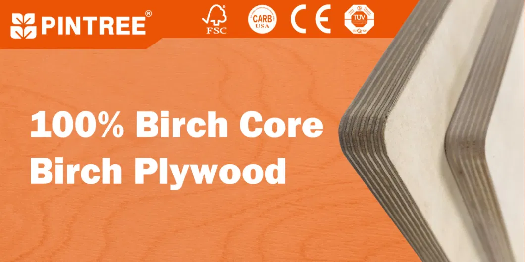 Cheap 100% Birch Core Plywood 4X8 Veneer Birch Plywood Board for Sale